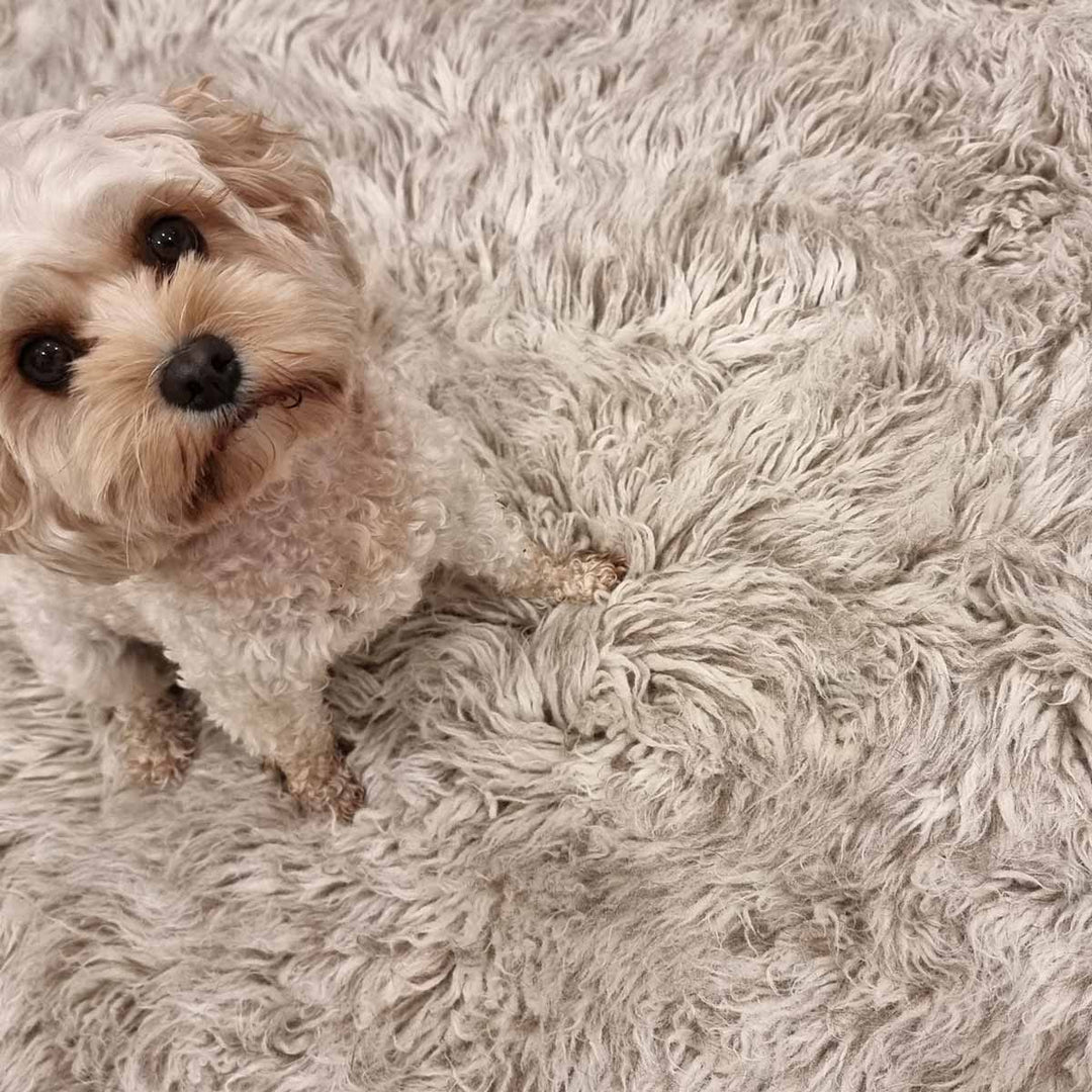 Flokati Cinnamon Rug 100% New Zealand Wool