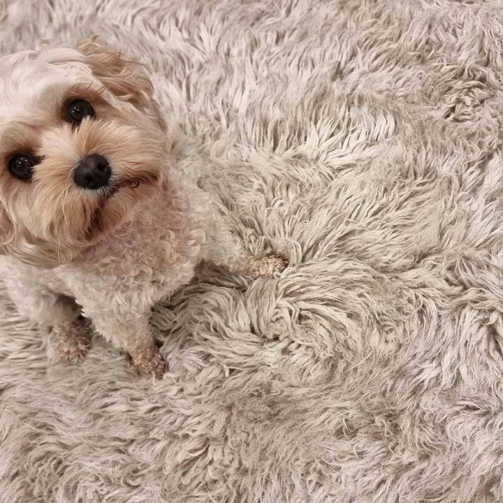 Flokati Cinnamon Rug 100% New Zealand Wool