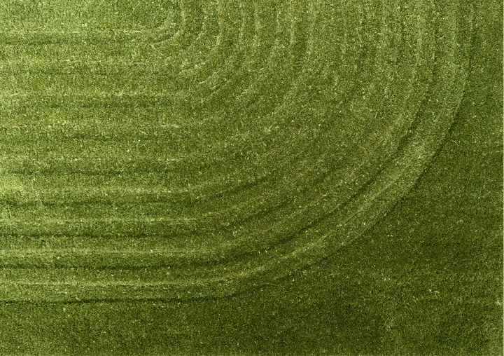 Viper New Design Modern Rug 100% Wool Green Hand Tufted Rug