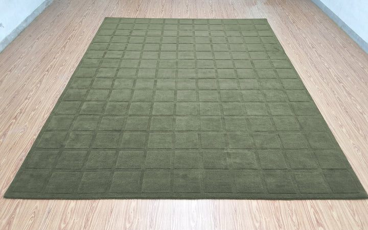 Forma Modern Rug 100% Soft Green Color Hand Tufted Rug