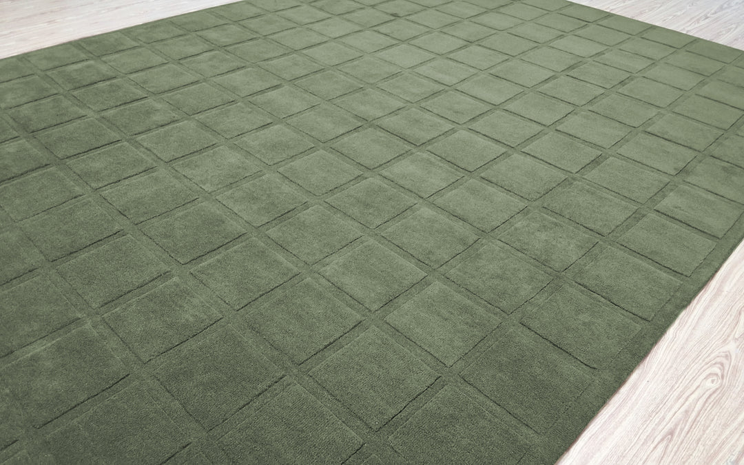 Forma Modern Rug 100% Soft Green Color Hand Tufted Rug