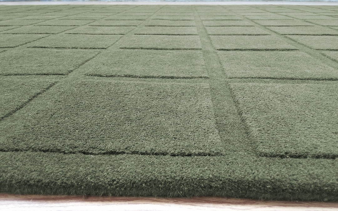 Forma Modern Rug 100% Soft Green Color Hand Tufted Rug