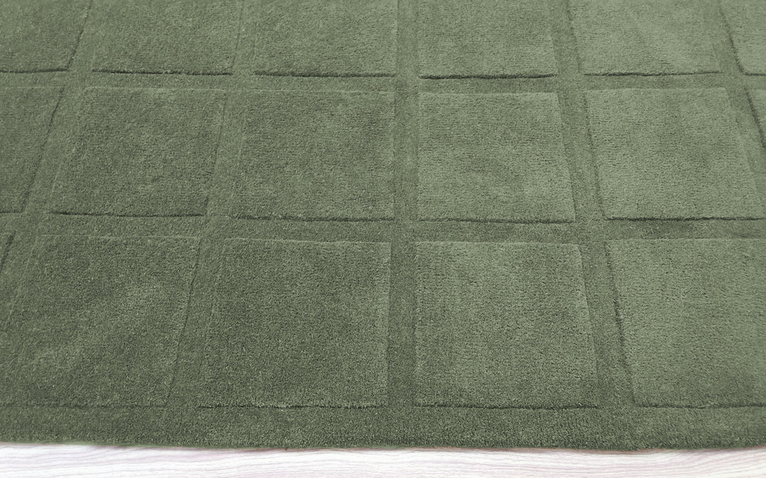 Forma Modern Rug 100% Soft Green Color Hand Tufted Rug
