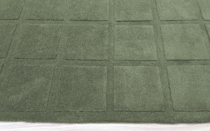 Forma Modern Rug 100% Soft Green Color Hand Tufted Rug