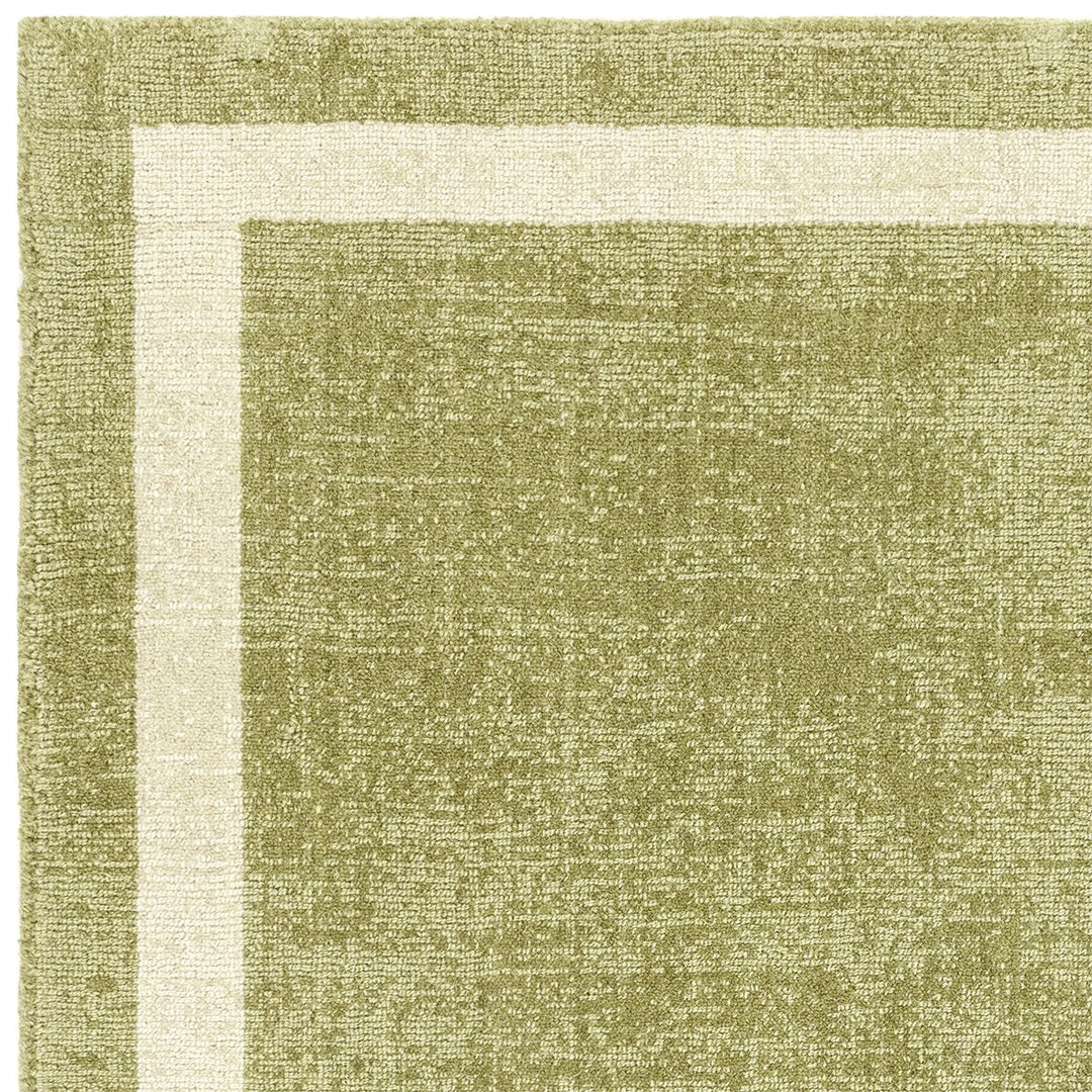ASIATIC ALBI GREEN