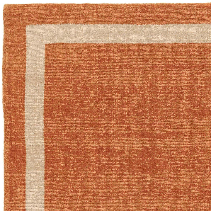 ASIATIC ALBI ORANGE