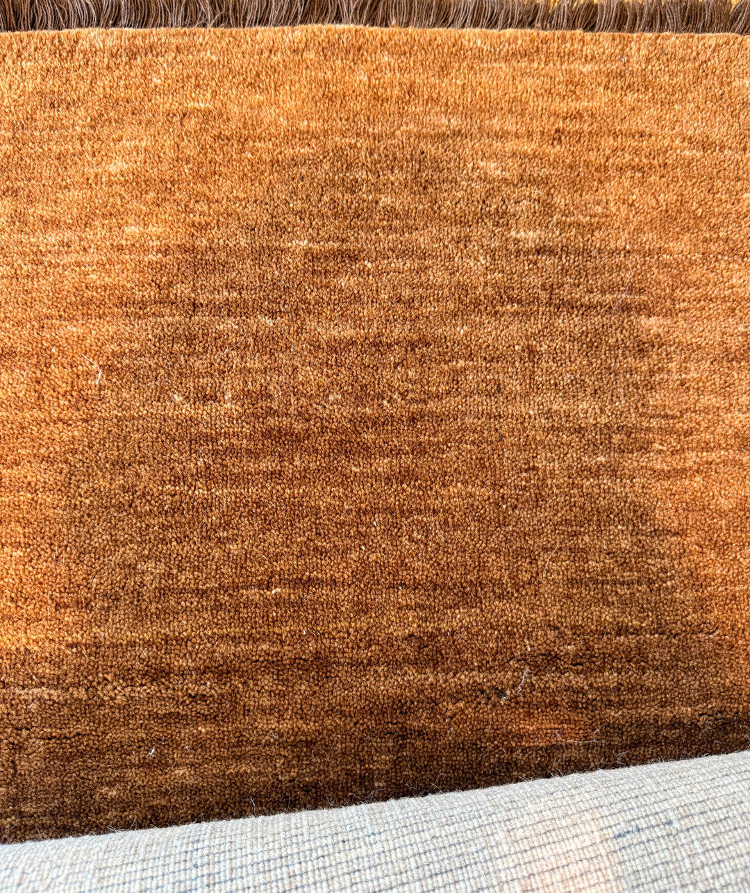 Veloura Burnt Amber Color Handloom Knotted Rug 100% Pure Wool