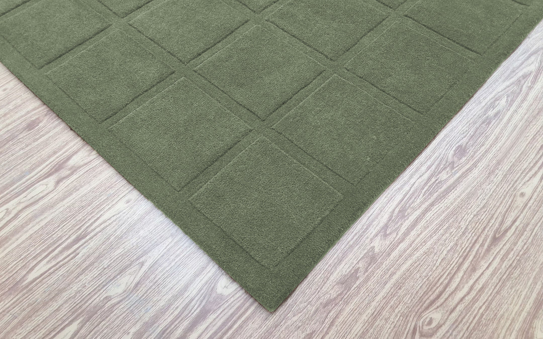 Forma Modern Rug 100% Soft Green Color Hand Tufted Rug