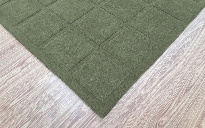 Forma Modern Rug 100% Soft Green Color Hand Tufted Rug