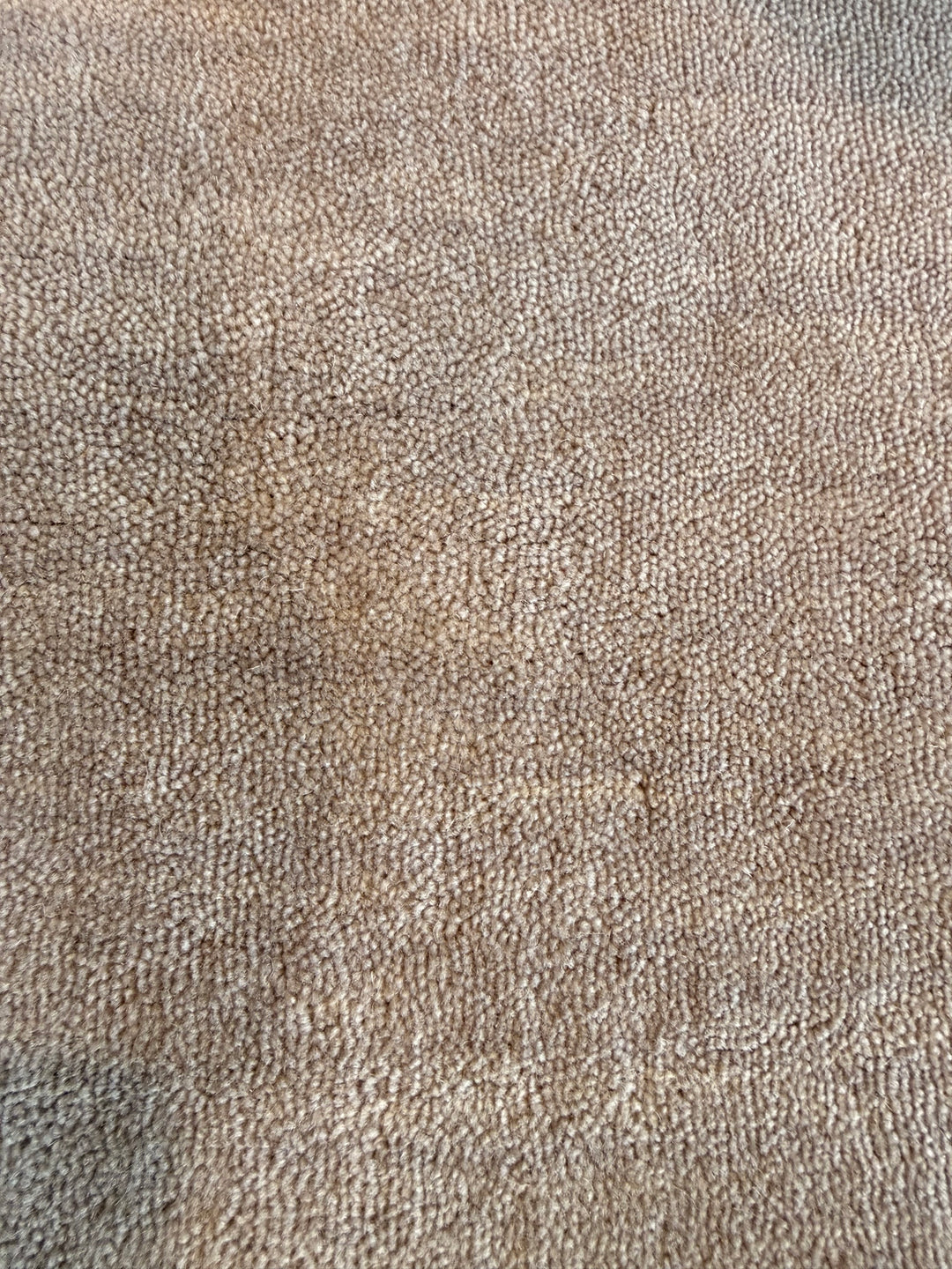 Veloura Soft Almond Color Handloom Knotted Rug 100% Pure Wool