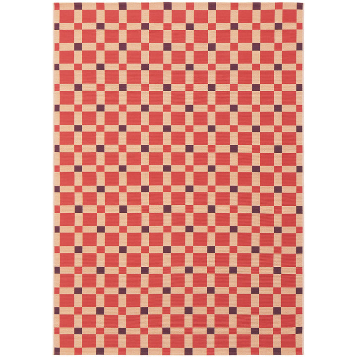 Vista Tito Pink Rug
