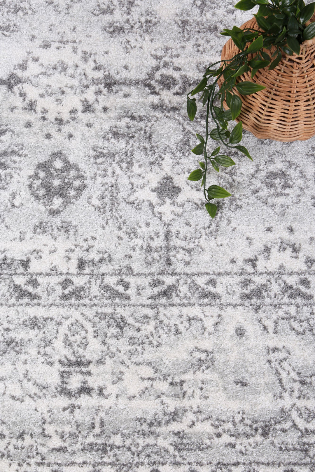 Frankie Montpellier Grey Traditional Rug