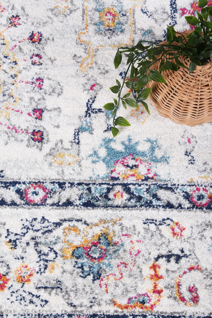 Frankie Nice Multi Transitional Rug