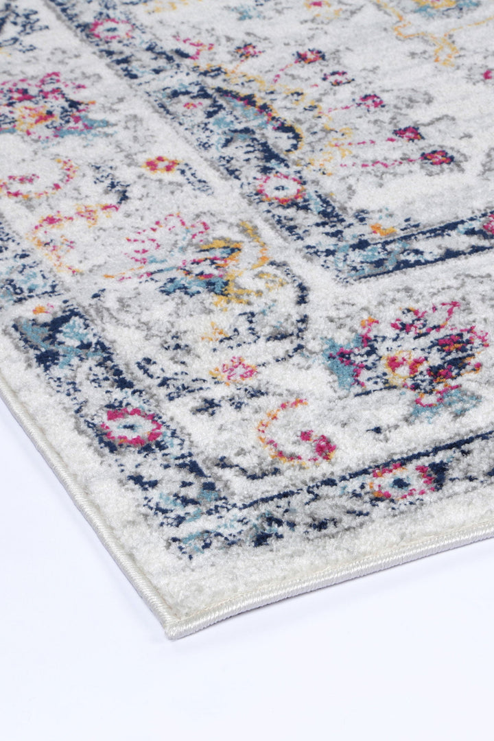 Frankie Nice Multi Transitional Rug